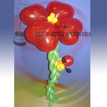 Цветы и букеты из воздушных шаров: Цветы и букеты из воздушных шаров